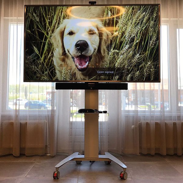 ergoxs-flexline-active-lite-kleine-trolley-trs18av44-laptopplank-lapa1-soundbarmount-sbmb1