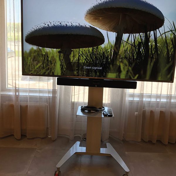 ergoxs-flexline-active-lite-kleine-trolley-trs18av44-laptopplank-lapa1-soundbarmount-sbmb1-project2