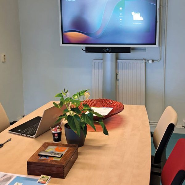 ergoxs-flexline-lean-lite-wand-vloer-budget-wfs18av44b-sounbarmount-sbmb1-2