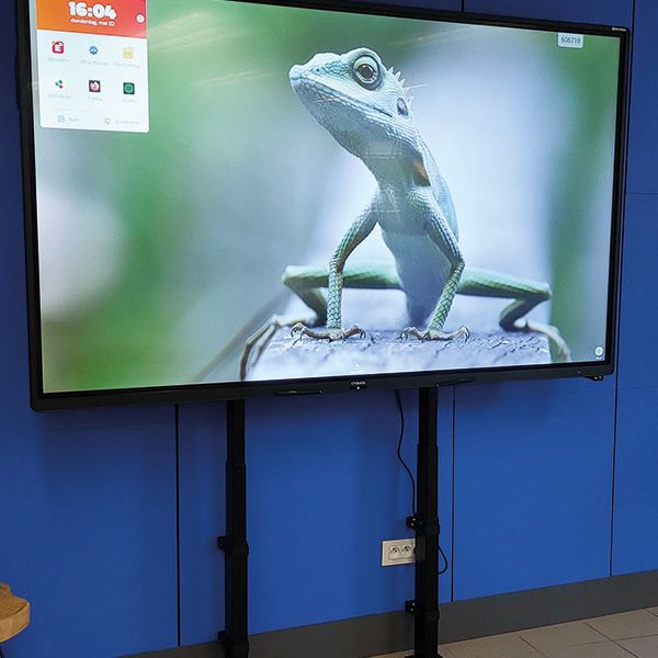 ergoxs-slimline-compact-wall-effw2231z-project