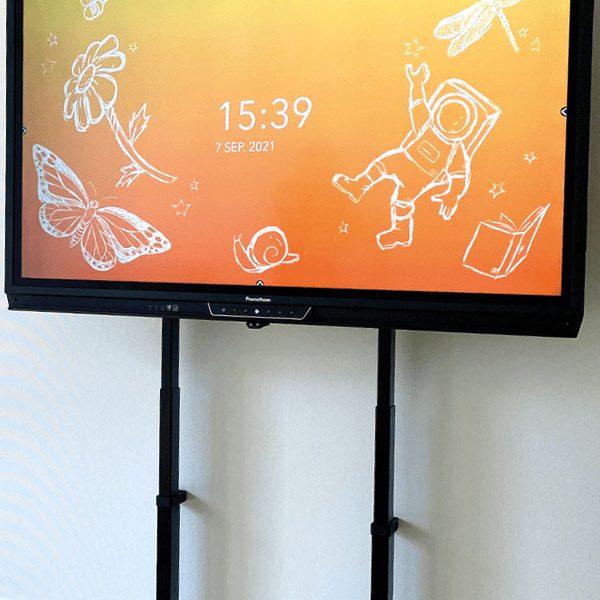 ergoxs-slimline-compact-wall-effw2231z-project2