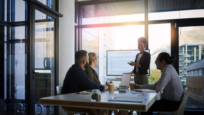 Ergo XS ophangsystemen Ophangsysteem TV whiteboard scherm beamer